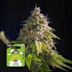 Apple Fritter
