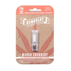 Mango Sherbert - Humboldt Seeds Company