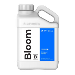 Athena Bloom B Blended Line 3.78L