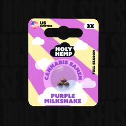 Purple Milkshake - Holy Hemp