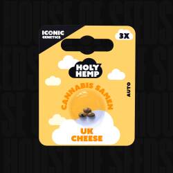 UK Cheese - Holy Hemp