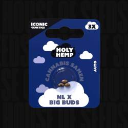 NL x Big Buds - Holy Hemp
