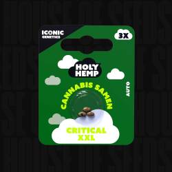 Critical XXL - Holy Hemp