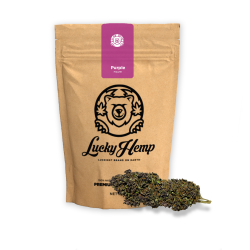 Purple Haze Ökopack - 10g