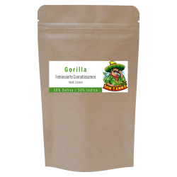 Vision Gorilla Cannabis Samen Premium THC 28%