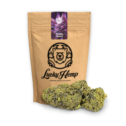 Purple Punch Ökopack - 10g