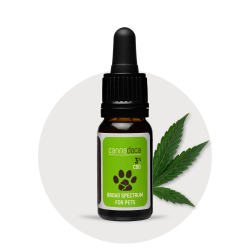 Premium CBD Öl für Katzen 3% ✓ 300 mg CBD ✓ 10ml