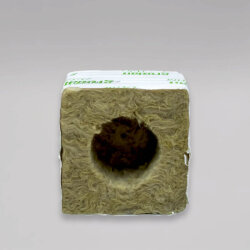 Grodan Kulturblock, großes Loch, 7,5 x 7,5 x 6,5cm