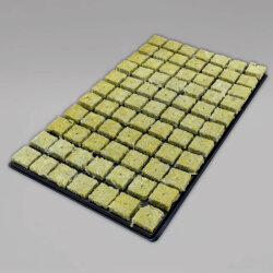 Grodan Anzuchtmatte SBS 36/77