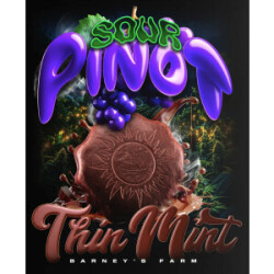 Barneys Farm Thin Mint x Sour Pinot Auto Fem 3St.