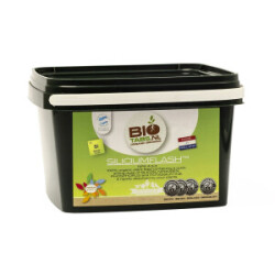 BioTabs Silicium Flash 1,25kg