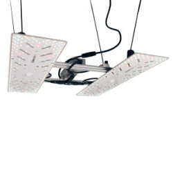 BloomStar Wingman 600L