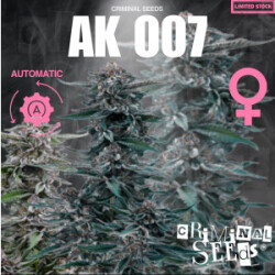 Criminal Seeds AK007 Fem Auto 3St.