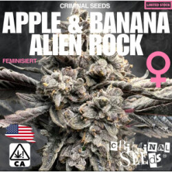 Criminal Seeds Apple Banana Alien Rock Fem 3St.
