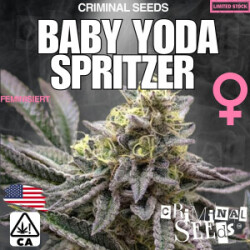 Criminal Seeds Baby Yoda Spritzer Fem 3St.