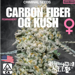 Criminal Seeds Carbon Fiber OG Kush x Cali Fem 3St.