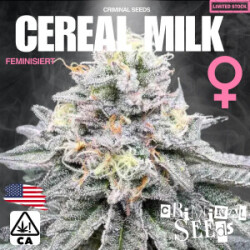 Criminal Seeds Cereal Milk x Cali Fem 3St.