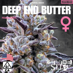Criminal Seeds Deep End Butter x Cali Fem 3St.