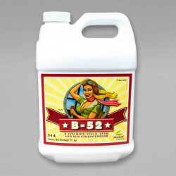 Advanced Nutrients B-52 10L