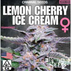 Criminal Seeds Lemon Cherry Ice Cream x Cali Fem 3St.
