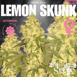 Criminal Seeds Lemon Skunk Auto Fem 3St.