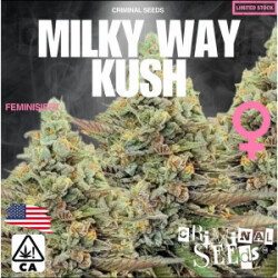 Criminal Seeds Milky Way Kush x Cali Fem 3St.