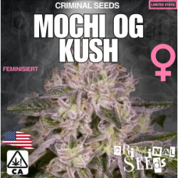 Criminal Seeds Mochi OG Kush x Cali Fem 3St.