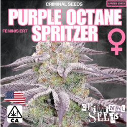 Criminal Seeds Purple Octane Spritzer Fem 3St.