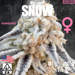 Criminal Seeds Snow x Cali Fem 3St.