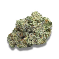 Growers Choice MAC 1 Auto Fem 3St.