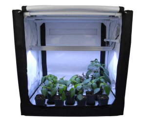 FYTO Base V60.2 Pro, 60 x 40 x 60cm, Anzuchtbox mit LED, schwarz