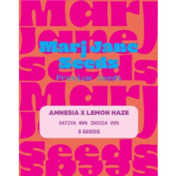 Amnesia X Lemon Haze - Marj Jane Feminisiert 3St.
