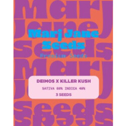 Deimos X Killer Kush Auto - Marj Jane Feminisiert 3St.