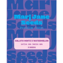 Gelato Mintz X Watermelon - Marj Jane Feminisiert 3St.