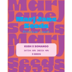 Kush X Somango - Marj Jane Feminisiert 3St.