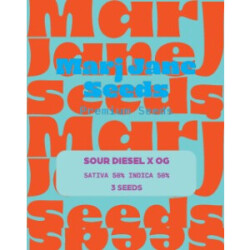 Sour Diesel X OG - Marj Jane Feminisiert 3St.