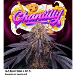 Perfect Tree Chantilly X6 Fem 6St.