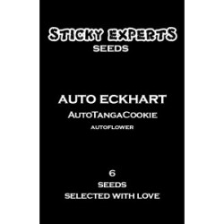 Sticky Experts Auto Eckhart TangaGoCookie Fem 6St.