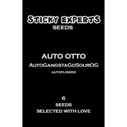 Sticky Experts Auto Otto GangstaGoSourOg Fem 6St.
