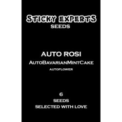 Sticky Experts Auto Rosi BavarianMintCake Fem 6St.