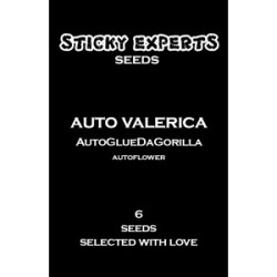 Sticky Experts Auto Valerica GlueDaGorilla Fem 6St.
