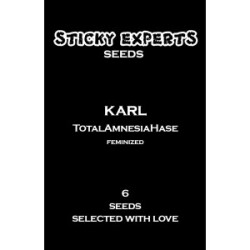 Sticky Experts Karl TotalAmnesiaHase Fem 6St.