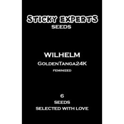 Sticky Experts Wilhelm GoldenTanga24K Fem 6St.