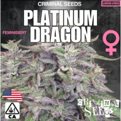 Criminal Seeds Platinum Dragon x Cali Fem 3St.