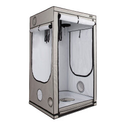 Homebox Ambient Q120+ (120x120x220cm)