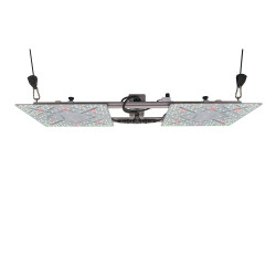 Bloomstar Wingman 600 by Crescience 220w LED Growlampe
