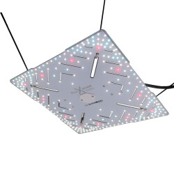 Bloomstar FLUXshield Babo 450E by Crescience 160W