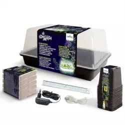 Romberg Homegrow Basic Starter Box Anzuchtset
