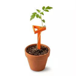 Plant Technology Steckling Halter 8 Stück