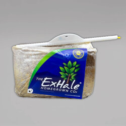 The ExHale CO2-Beutel